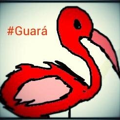 Com o seu amigo #Guará você fica informado sobre tudo o que acontece em Guaratuba
