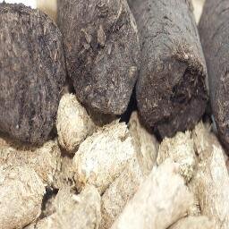 engaged in producing and/or utilising biomass power & heat, advanced biofuels, biogas, pellets - briquettes