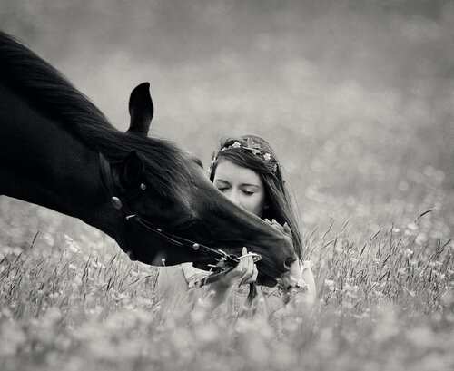 Hey ! Dit is een super leuk paarden acc voor 101% Paarden gekken! Vrijheids dressuur! Leuke weetjes! En nog veel meer leuke dingen Maak onze follow knop blauw!x