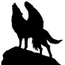 Wolf - @Hope8530 - Twitter
