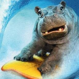 BCaymen's profile picture. Citizen of the world, all views my own. Retweets are not necessarily endorsements. 
Watching the twitter world go by......