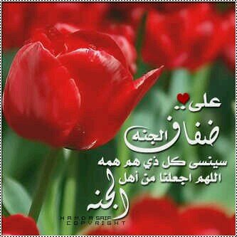 حساب شخصي عضوه في حساب #قناة_فيزياء_للجميع مدونتي https://t.co/O9I2v9kU8f