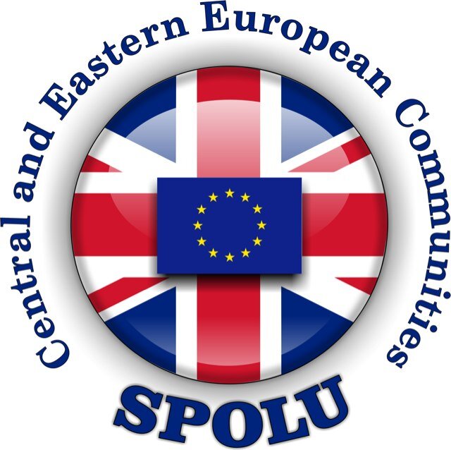 spolucic's profile picture. 