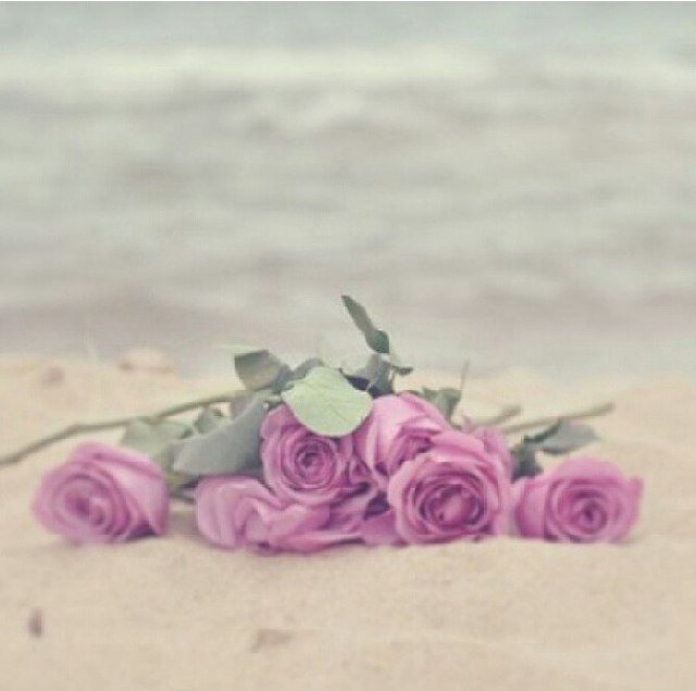 عذراء،،،،، وكل ما أحزن أو افرح انجب___ خاطره،،،،،
مشاعري تجدونها هنا ...الخاص (مهمل)...