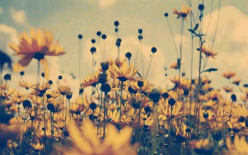 ♡i want you to smile, believe and stay strong. but most importantly, prove them wrong♡