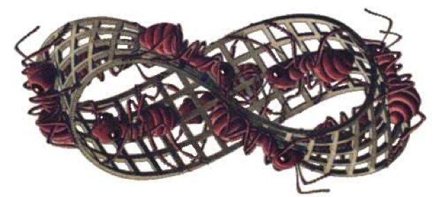 QuirinKeeris's profile picture. 