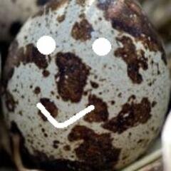 outros twitter's: @forparamori