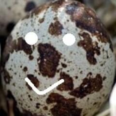 outros twitter's: @forparamori