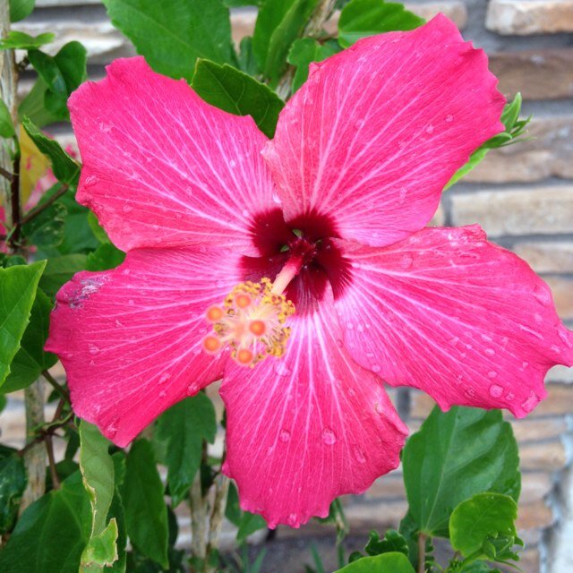 Vacaygrl's profile picture. 