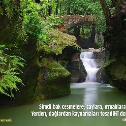 glkaya164534 Profile Picture