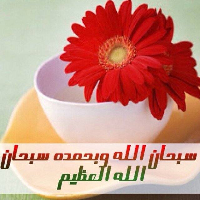 سبحان الله وبحمدة سبحان الله العظيم