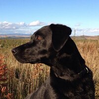 Jason Short (@bambershort) 's Twitter Profile