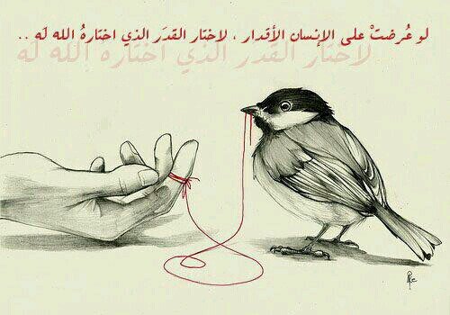 سبحان الله وبحمده