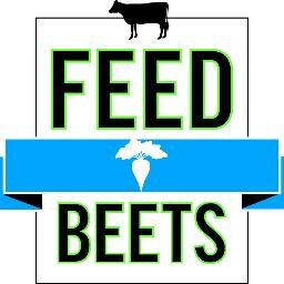 FeedBeets's profile picture. Providing Feed Beets to Dairy & Beef Producers