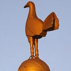 The most unique #THFC forum out there! We've been riding the Spurs rollercoaster together for over a decade. Pay us a visit and have your say today! #COYS