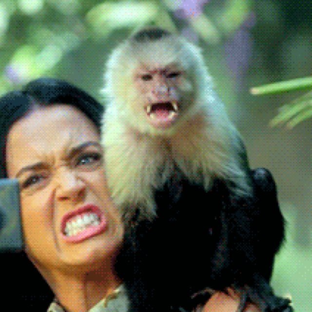 It's Ripley! From the Queen of the Jungle's music video, #ROAR, check me out in the video by clicking the link below!