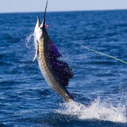 All about #Fishing.  Top Pics & Tweets. Every day. Follow us. We follow the top Tweeters daily.
Co-hosts #fishpixchat each Monday 4pm ET. The best fishing chat.