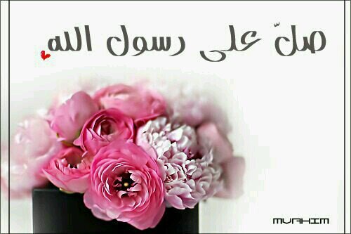 PIN74388CA7  gidbh ضيفوني كيك