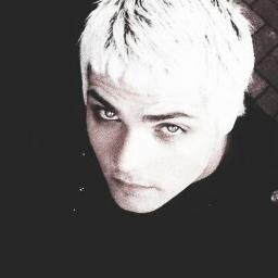 @GerardWay and @frankiero and @We_rate_cats