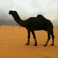 Frequence (@frequenc1) 's Twitter Profile