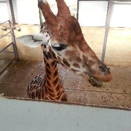 michashley's profile picture. 