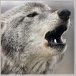 kanabopokywu Profile Picture