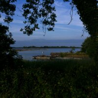 Majella Giblin (@majgibs) 's Twitter Profile