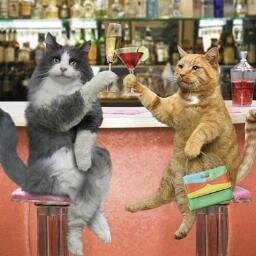 osocheperereche's profile picture. me dedico a ser raro