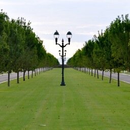 MorrisonRanchAZ's profile picture. Updates on happenings of interest to Morrison Ranch residents and others.