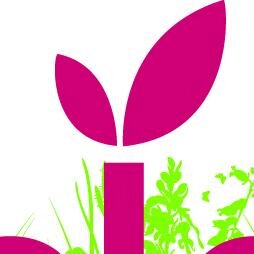 ElevationGarden's profile picture. Chartered Management Accountant, lover of plants, being outdoors (running, walking, football, tennis digging!) and messing about with spreadsheets!
