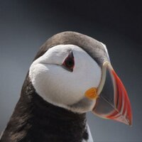 Jonathan Mercer (@cwpbirder) 's Twitter Profile Photo Jonathan Mercer (@cwpbirder) 's Twitter Profile Photo