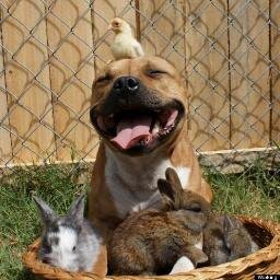 The day my daughter was born justified my existence.
Be kind and respect all living creatures...