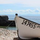 Marlene Wells - @ScotiaNewfie - Twitter