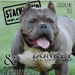 XXLUBPCAMP's profile picture. American Bully breeder