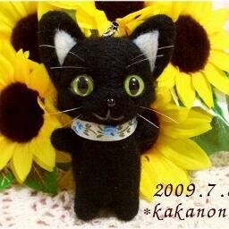 wizkuro's profile picture. 黒い黒い魔法使い猫。パズドラポケモンモンハンも！！