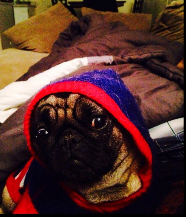 Charlesasselin's profile picture. 