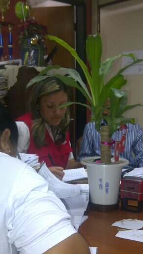 Ingeniera Civil
Project Manager
Coaching Educativo
