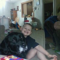 Carrie Holler (@cahferrets) 's Twitter Profile