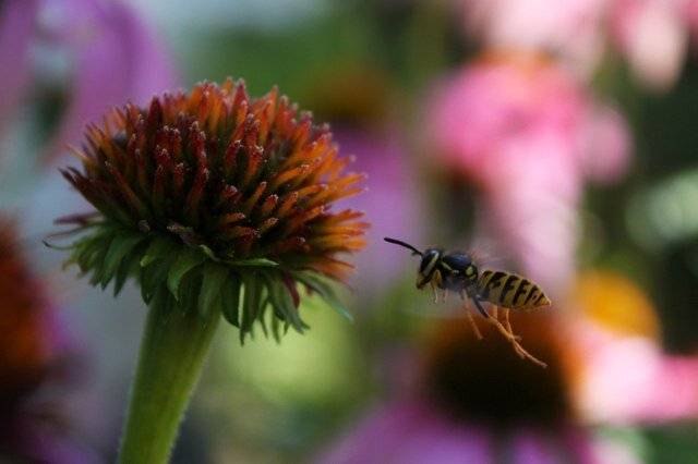 Winharwil's profile picture. 🇨🇦