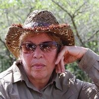 Peg Jones (@mejpeg) 's Twitter Profile