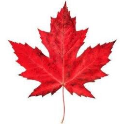 Where Canadians are getting I.T. done