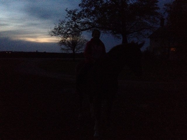 Equestrian Problems-Photagraphy-Bucketlist-Quotes!