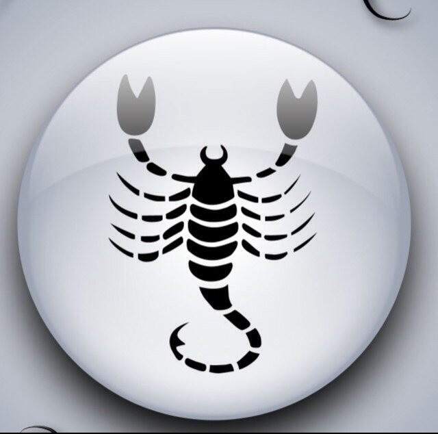 Mplsgray's profile picture. I love reading, shopping for shoes, movies & television, music,Vegas, and spending the day cooking in my kitchen.