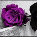 مشاعر انثئ (@054_sahar) Twitter