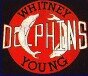 love hoopin #3 whitney young basketball go doqhens