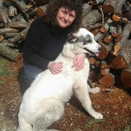 majosetena's profile picture. 