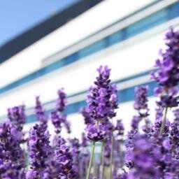 OpenHouse_Scout's profile picture. 