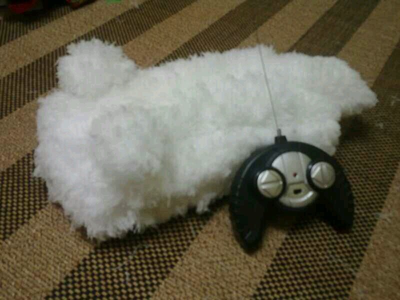 PROCLEANING1's profile picture. Cleaning products Microfiber