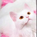 GODE (@1399Joojoo) Twitter