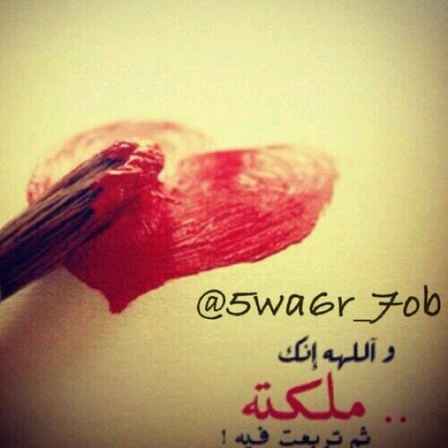 imgm2001's profile picture. 